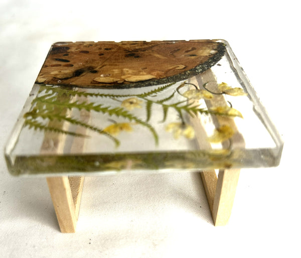 Miniature coffee table resin, wood and botanical 1/12th - D