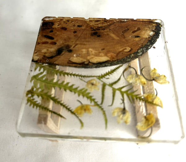 Miniature coffee table resin, wood and botanical 1/12th - D