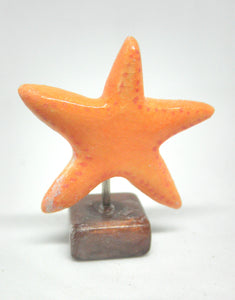 Miniature beach decor star fish sculpture
