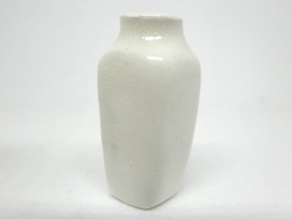 Dollhouse Miniature vase with fern fonts